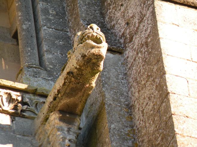  gargouille (cathedrale)